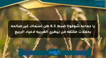 يا جماعة شوفوا! ضبط 8.5 طن أسماك غير صالحة بحملات مكثفة من بيطري الغربية لأعياد الربيع